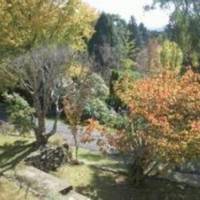 Misty Mountains 4WD Tours