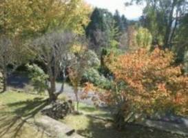 Misty Mountains 4WD Tours