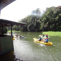 Jungle Land Panama: Day Excursions