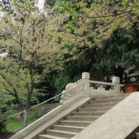 Luojia Mountain