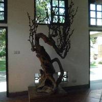 Zhongshan Park