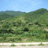Qiandao Lake Jiulong Stream Rafting