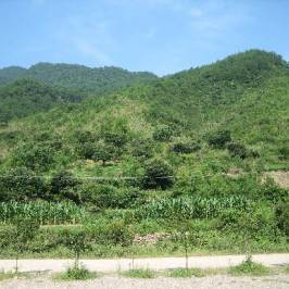 Qiandao Lake Jiulong Stream Rafting