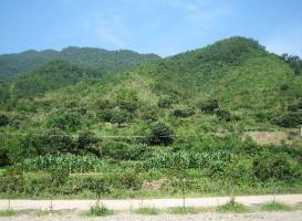 Qiandao Lake Jiulong Stream Rafting