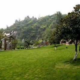 Wenzhou Jingshan Forest Park