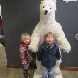 Musee De La Nature Et Des Sciences