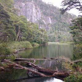 Huerquehue National Park