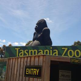 Tasmania Zoo