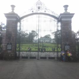The Mansion