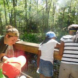 Santa Fe College Teaching Zoo