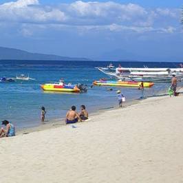 Tamaraw Beach