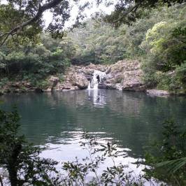 Vegetation of Tanagaa-gumui