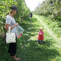 Soons Orchards & Farm Market