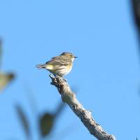 Moccasin Lake Nature Park