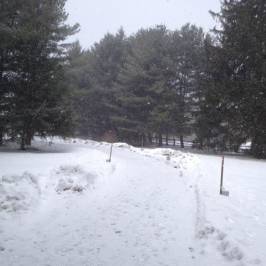 Cumming Nature Center