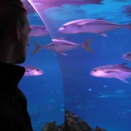 SEA LIFE Oberhausen