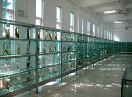 Aquatic Museum of Guangdong Ocean University