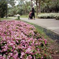 Xiamen Nanhu Park