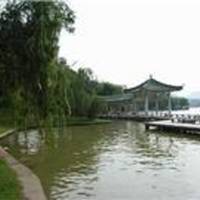 Tang Spring