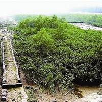 Huoshaoyu Island