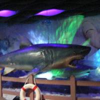Ocean World