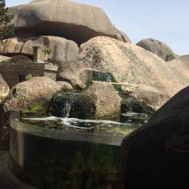 Aquarium Marin De Tregastel