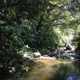 Kaiate Falls
