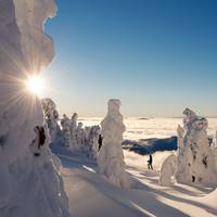 Sun Peaks Ski Area