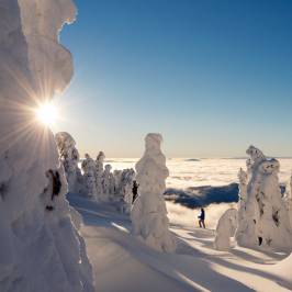Sun Peaks Ski Area