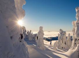 Sun Peaks Ski Area