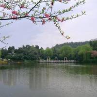 Chongqing HuaHui Park