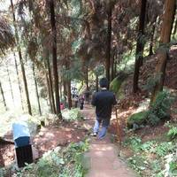 Dayuandong National Forest Park