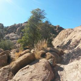 Watson Lake