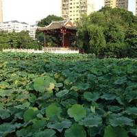 Fuzhou Chating Park