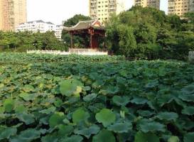 Fuzhou Chating Park