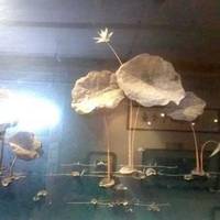 Oriental Fish Bone Art Museum