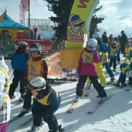 Skischule Optimal