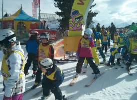 Skischule Optimal