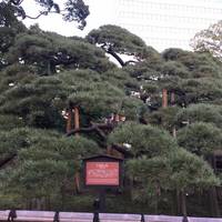 Former Shiba Rikyu Garden
