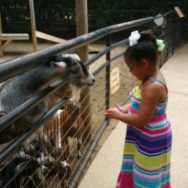Hattiesburg Zoo