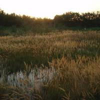 Jiayuguan Donghu Lake Ecological Scenic Spot