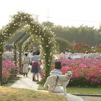 Hamadera Park