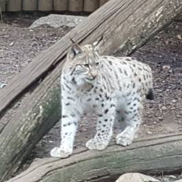 Zoo Karlsruhe