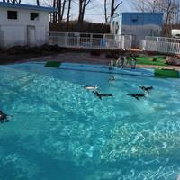 Kushiro City Zoo