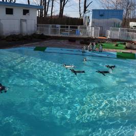 Kushiro City Zoo