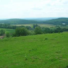 Circle R Ranch
