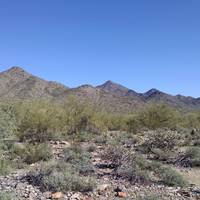 McDowell Sonoran Preserve