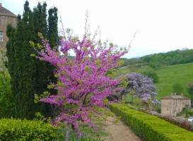Berze le Chatel
