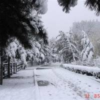 Linjiang Beishan Park