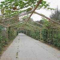 Yinchuan Botanical Garden